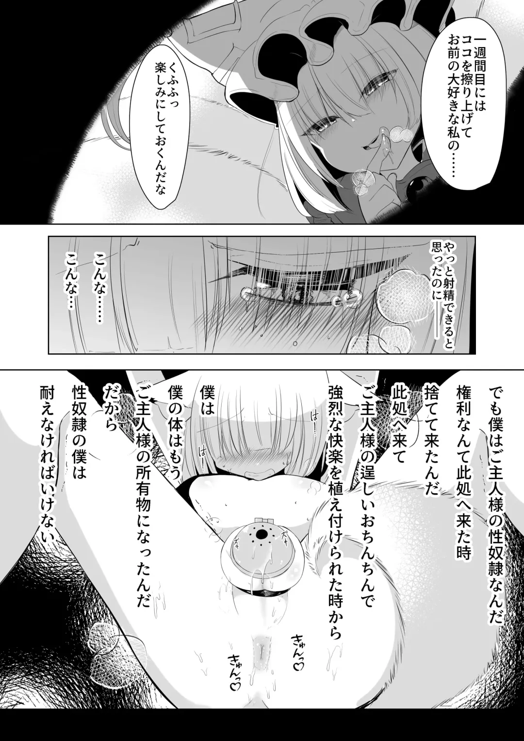 [Miyase Nukko] 八雲藍による性奴○射精管理調教 子狐編 Fhentai.net - Page 13