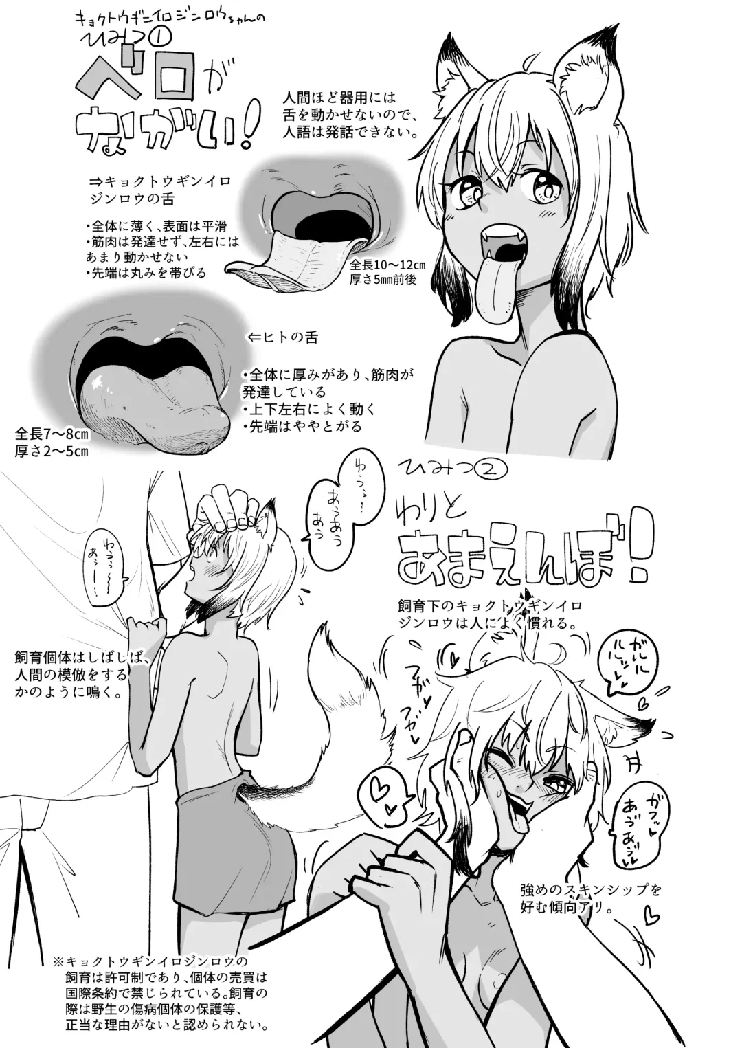 [Pilaf Modoki] zu kai kyokutou gin iro zin rou tyan no ka i kata～ hatuzyouki no o sewa hen!～ Fhentai - Page 4