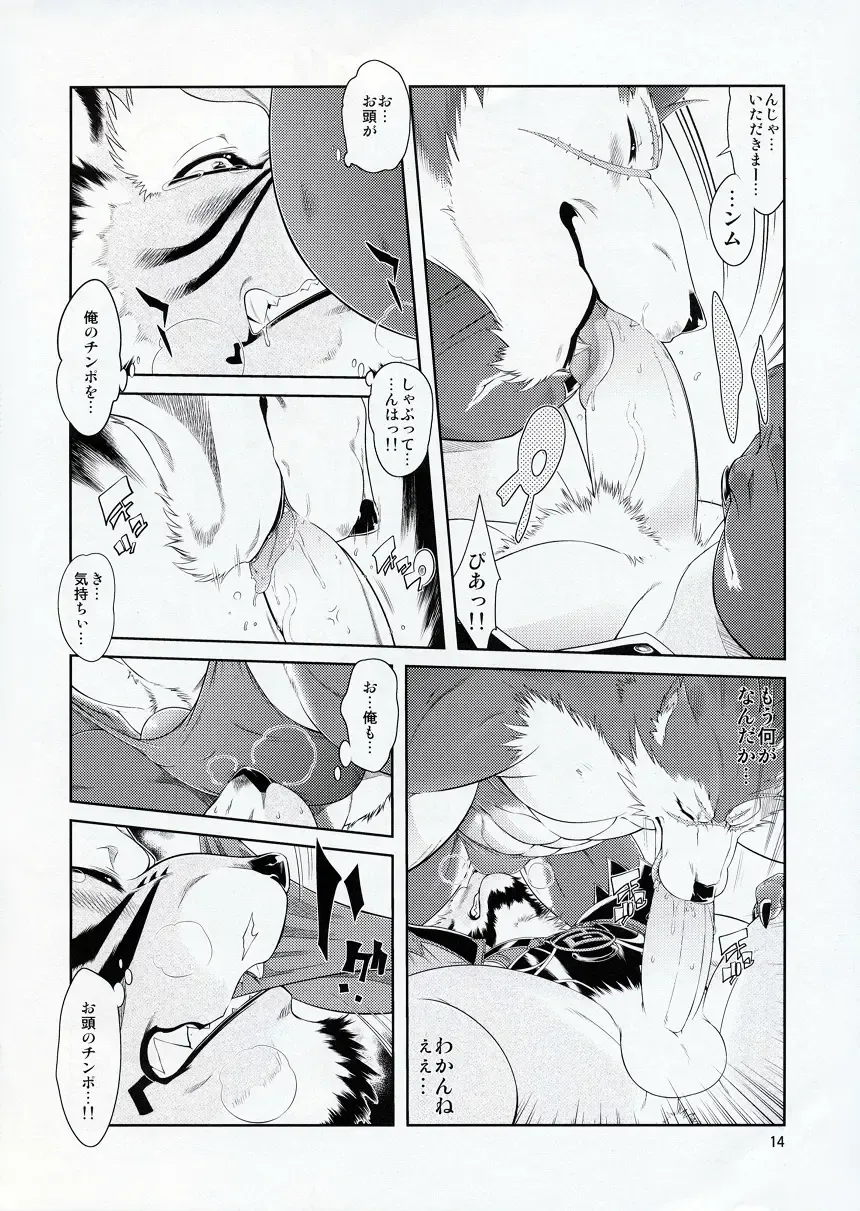 [Amakuchi] Shining F Fhentai - Page 15