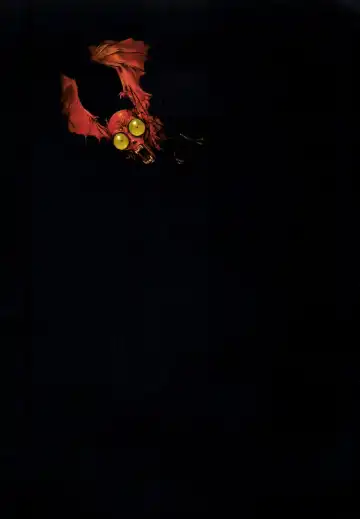 [Terada Katsuya] 【寺田克也】西游奇传大猿王一卷 Fhentai - Page 9