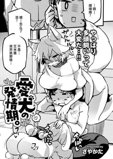 Read [Sayakata] Aiken no Hatsujyouuki - Fhentai.net