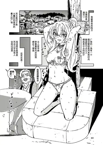 [Madako] Tabitabi Nikki ni wa Shirusenakatta Koto. 5 Fhentai - Page 31
