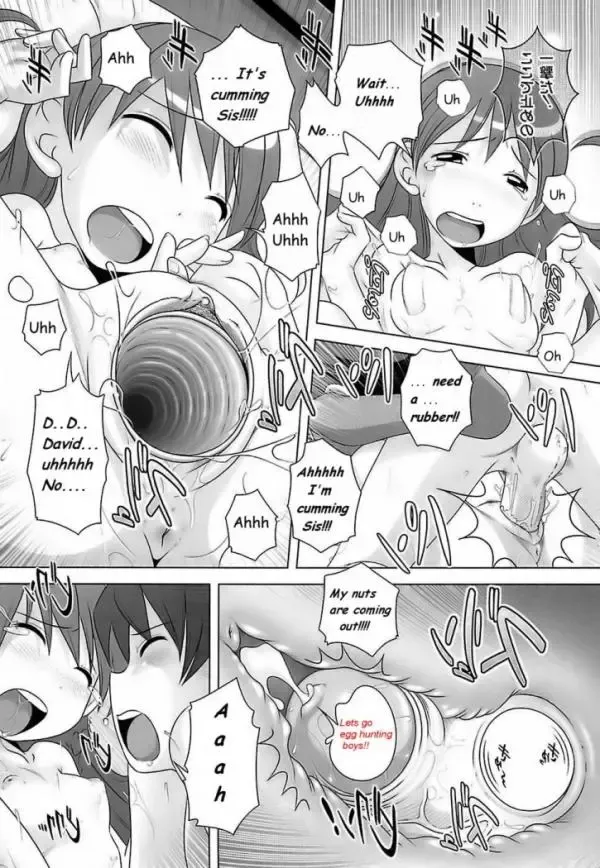 [Low] Knocking Up Sis Fhentai.net - Page 14