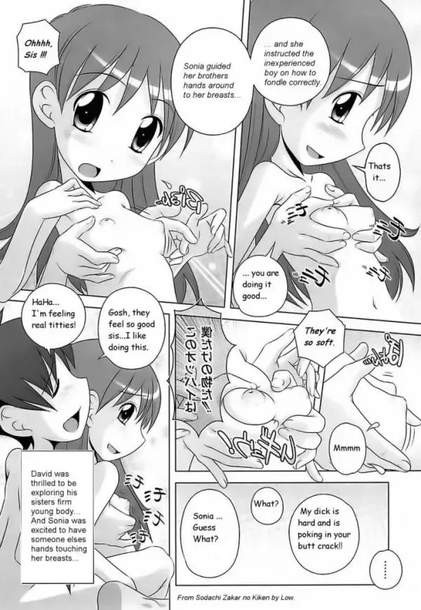 [Low] Knocking Up Sis Fhentai.net - Page 6