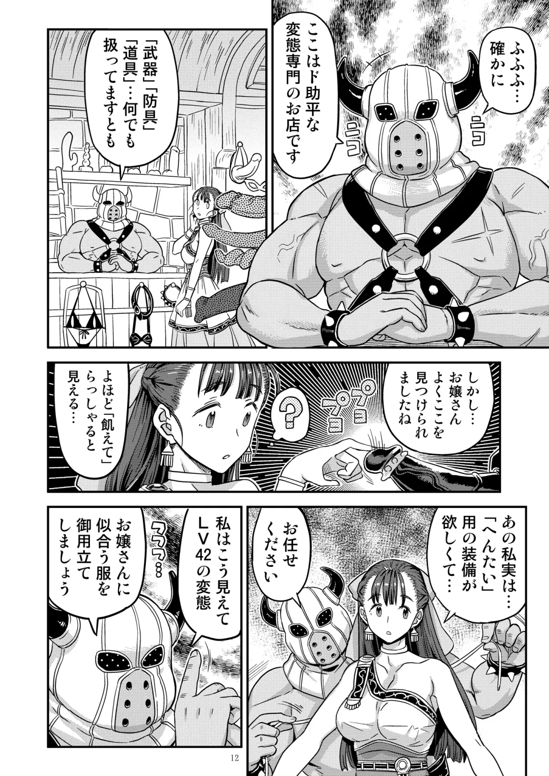 [A-10] Dragon Quest XXX Fhentai - Page 12