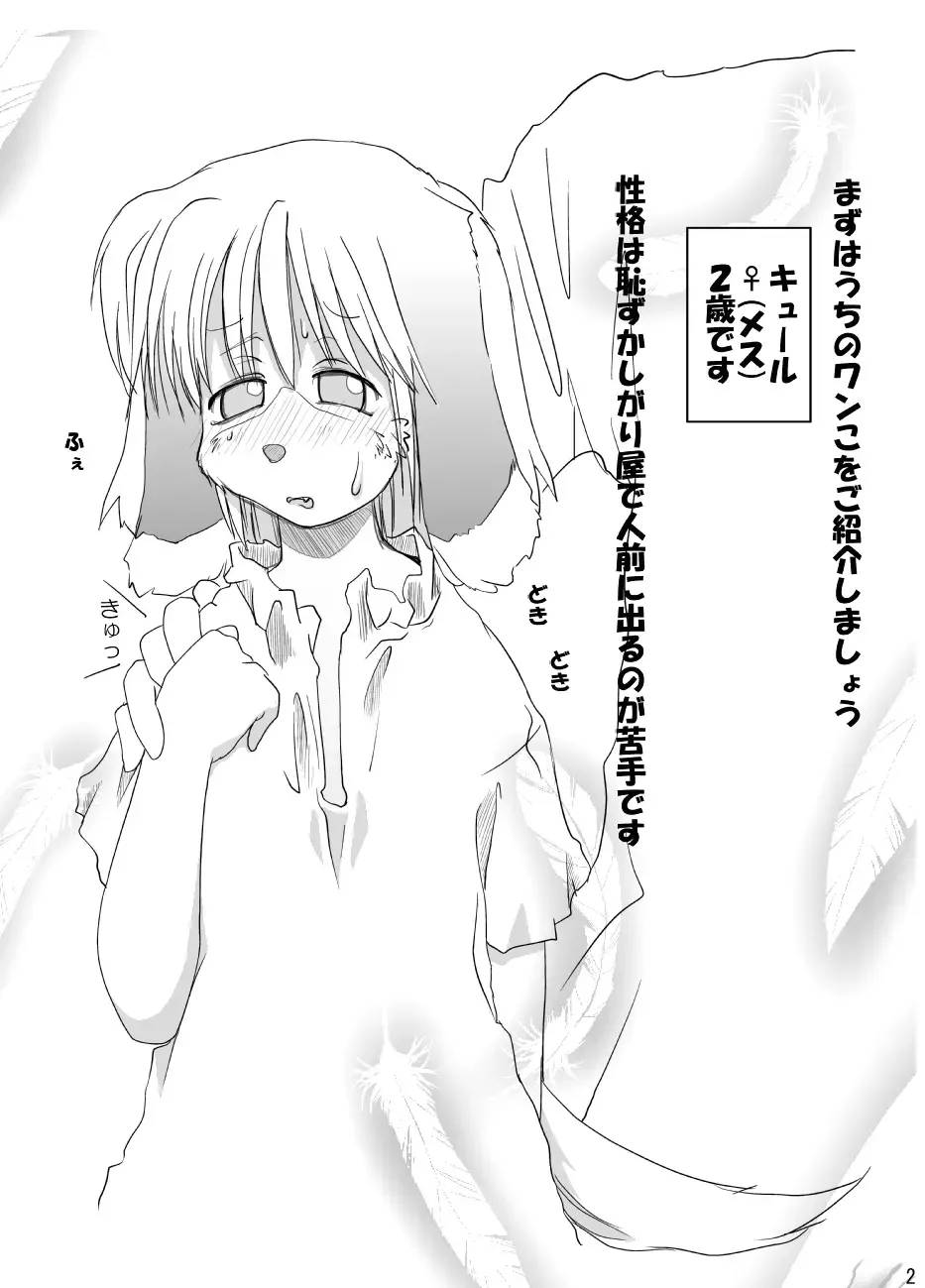 [Yam] Neko Rice Vol.2 (DL-han) +Omake CG Tsuki Fhentai - Page 4