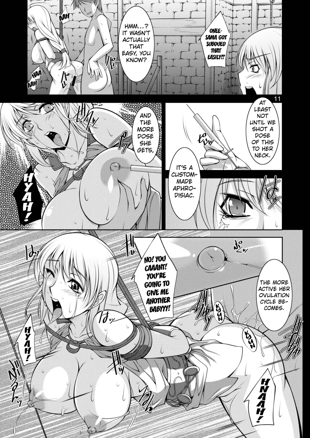 [Zen9] Breeding X Sisters Fhentai - Page 10
