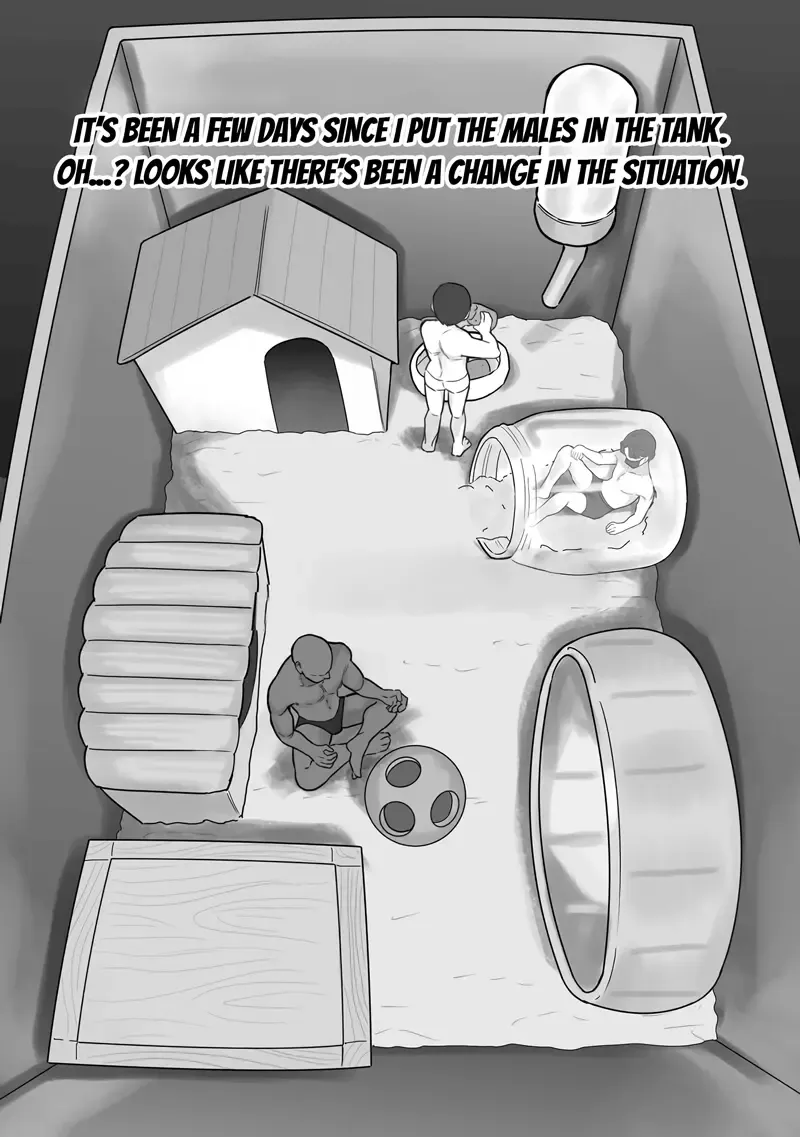 [Ruutyan] Couple no Suisou ni Iroiro na Osu o Irete Miyou Fhentai - Page 10