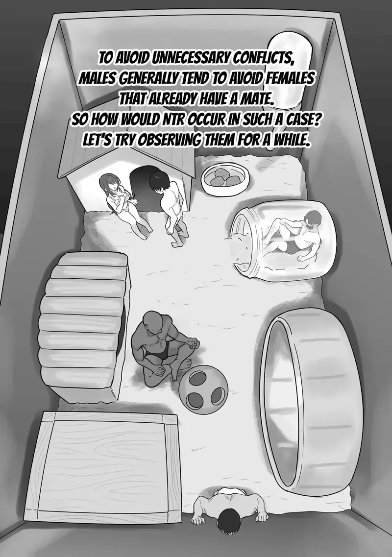 [Ruutyan] Couple no Suisou ni Iroiro na Osu o Irete Miyou Fhentai - Page 8