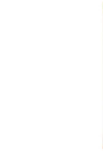 [Indo Curry] Shinosawa-san no Koubi Muki de wa Nai Karada. Fhentai - Page 27