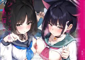 Read [Hyouta] Schrödinger no Kuroneko to 2 | 与薛定谔的黑猫一起2 - Fhentai