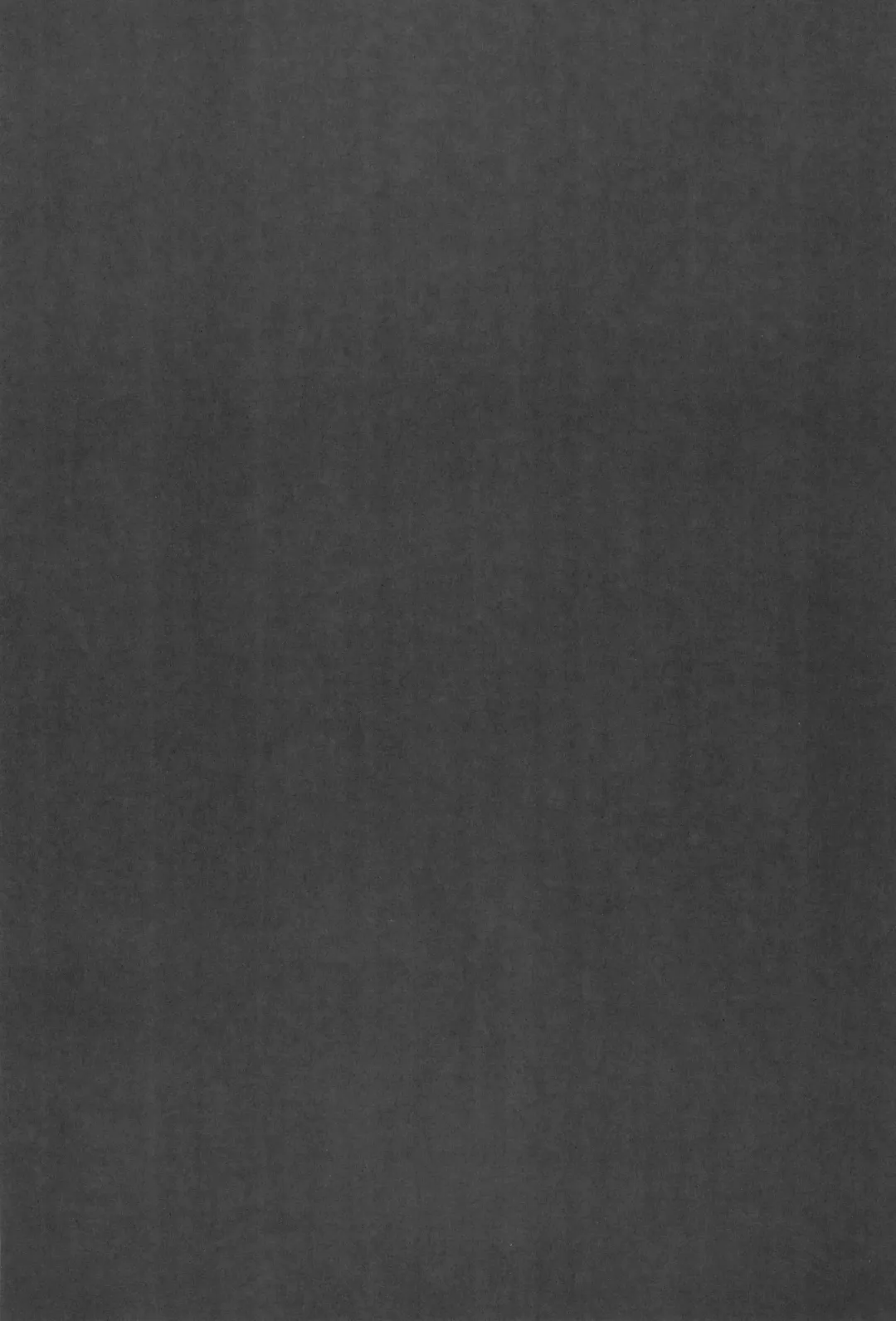 [Ter - Zuizui] TWIN MOON Fhentai - Page 37