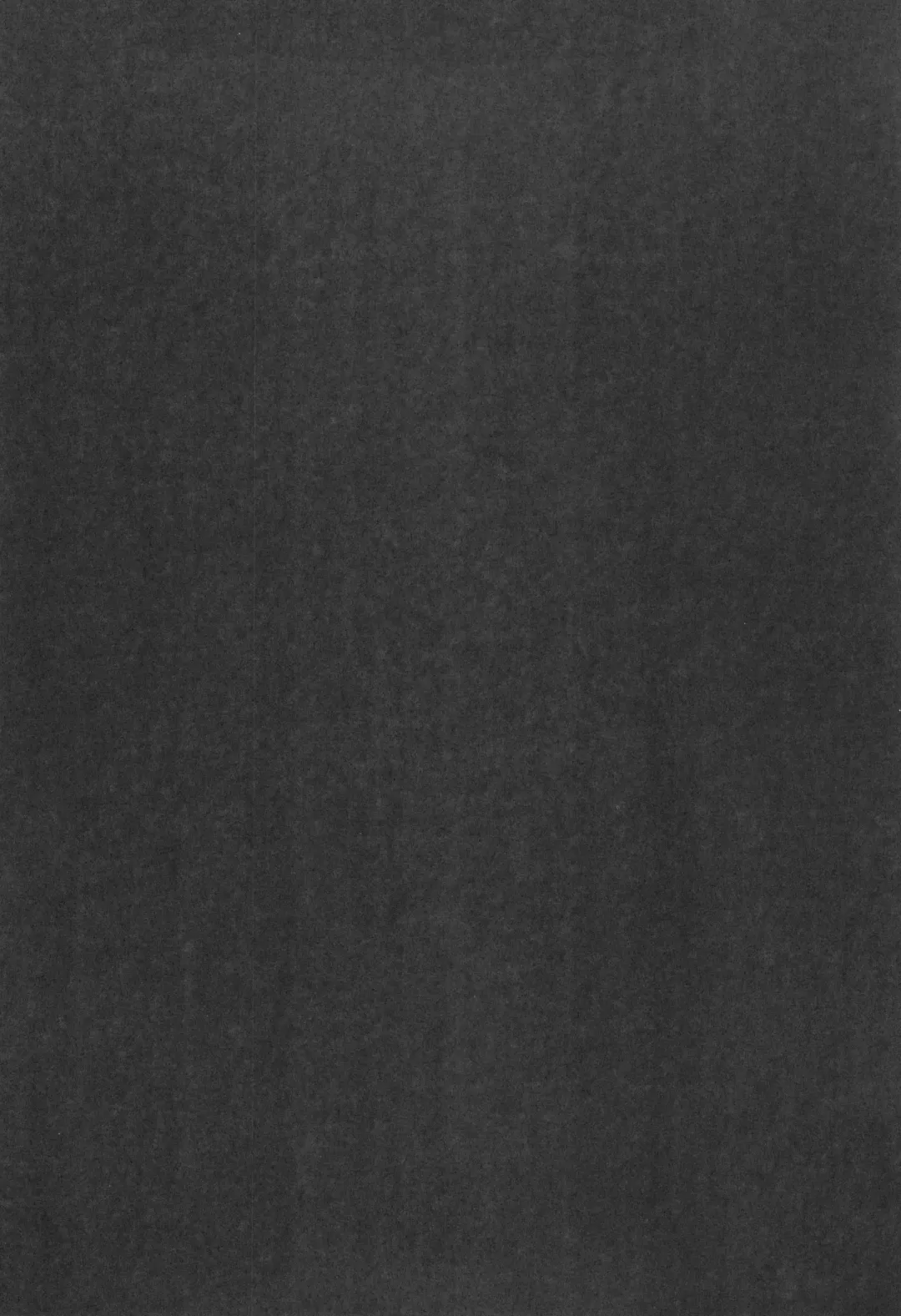 [Ter - Zuizui] TWIN MOON Fhentai - Page 66