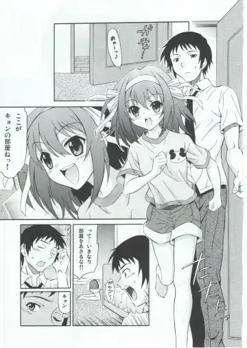 [Harukaze Soyogu] Sasa no Ha Haruhi to Kouichi Kyon. Fhentai - Page 4