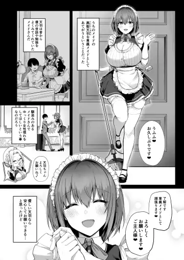 [Blue Gk] Love Maid -Yasashikute Amaama na Kyonyuu Ero Maid San to SEX Shimakuru Ohanashi- Fhentai - Page 9