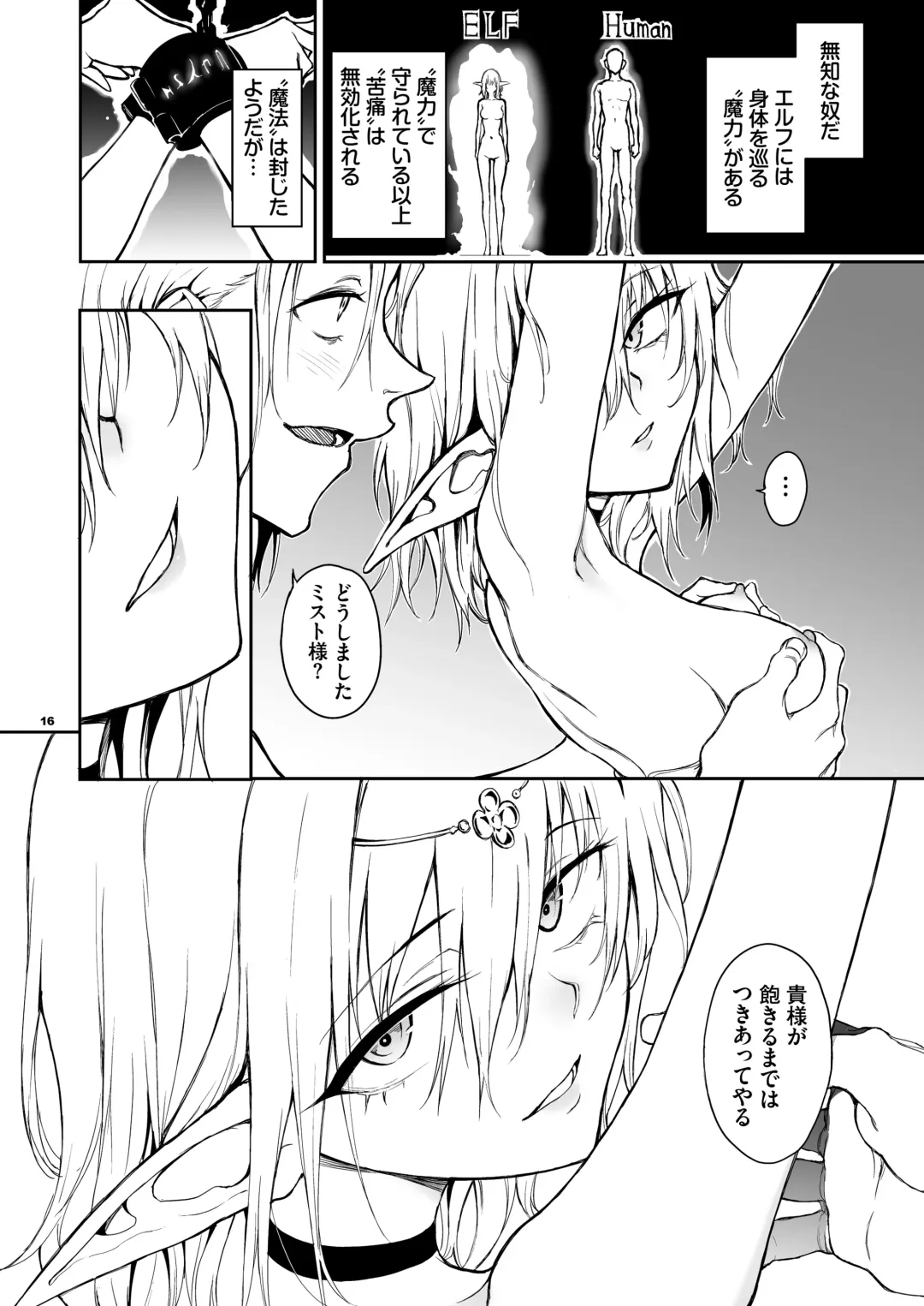 [Kyockcho] ELF Education. -Boukoku no Mist- Fhentai - Page 16