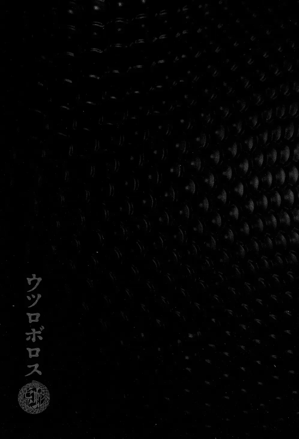 [Uziga Waita] Utsuroboros Fhentai - Page 199