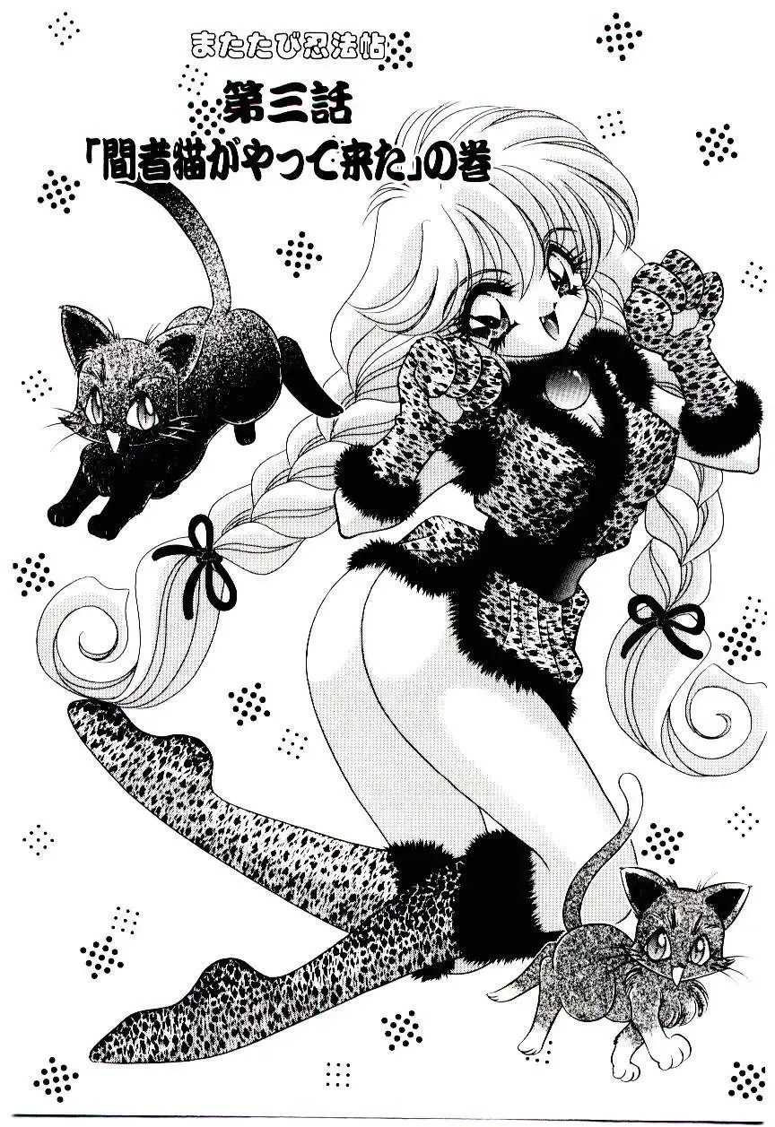 [Nekojima Lei] Matatabi Nin Houjou Fhentai - Page 42