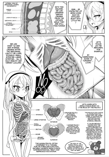 [Sekai Saisoku No Panda] Shimada Arisu-chan de Manabu Onnanoko no Jintai "Kotsuban Hen" Jou | Learning About the Female Body with Shimada Arisu-chan <Pelvic Edition> Part 1 Fhentai.net - Page 11