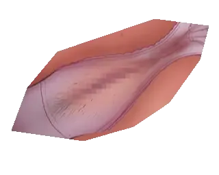 [Kitani Sai] Hajimete no Ganmen Kijou Feat. Kitani Sai Fhentai - Page 7