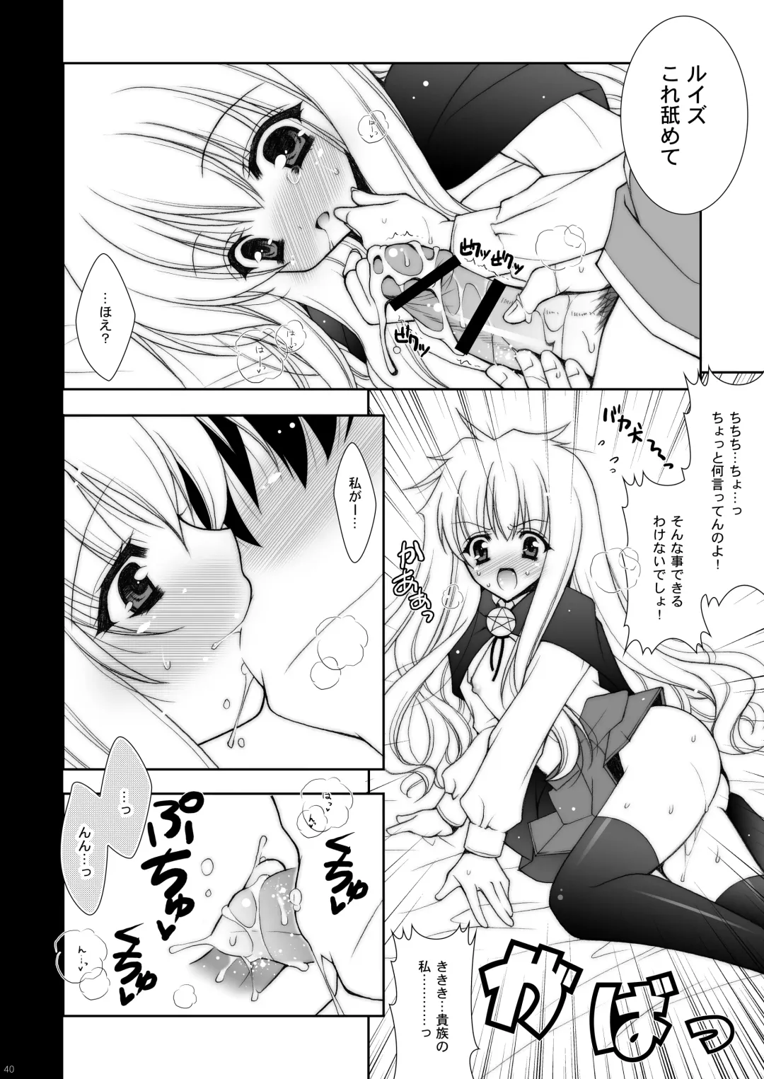 [Shigunyan] Zero no Tsukaima Soushuuhen Fhentai.net - Page 40