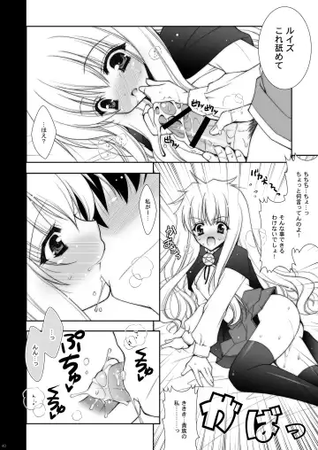 [Shigunyan] Zero no Tsukaima Soushuuhen Fhentai.net - Page 40