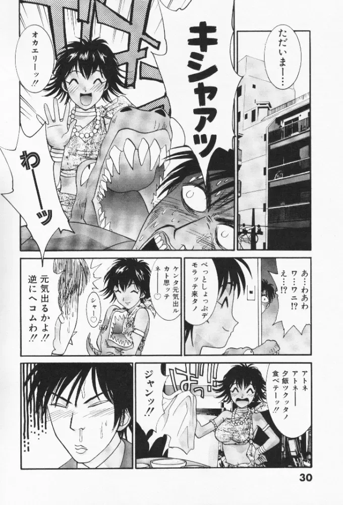 [Uchino Bungo] Minami no Kuni Kara Konnichiwa Fhentai - Page 31