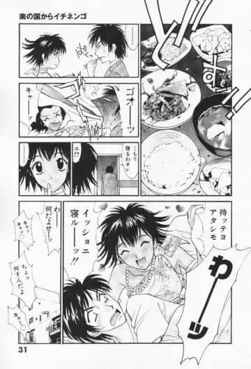 [Uchino Bungo] Minami no Kuni Kara Konnichiwa Fhentai - Page 32