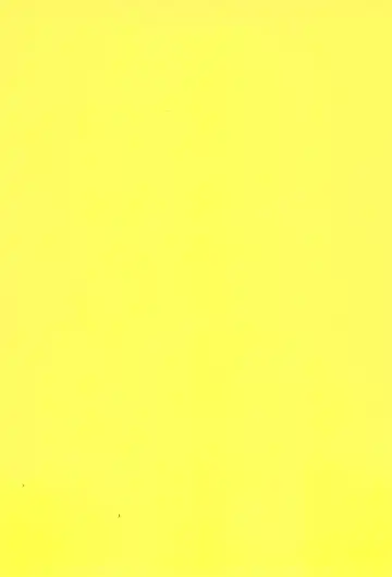 [Imotaco Nankin] Youkoso Johnny-kun Fhentai - Page 32