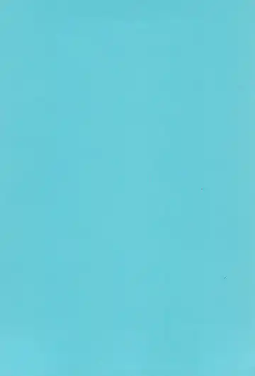 [Imotaco Nankin] Youkoso Johnny-kun Fhentai - Page 4