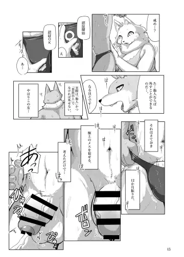 [Cocolog] COURTSHIP Fhentai - Page 14