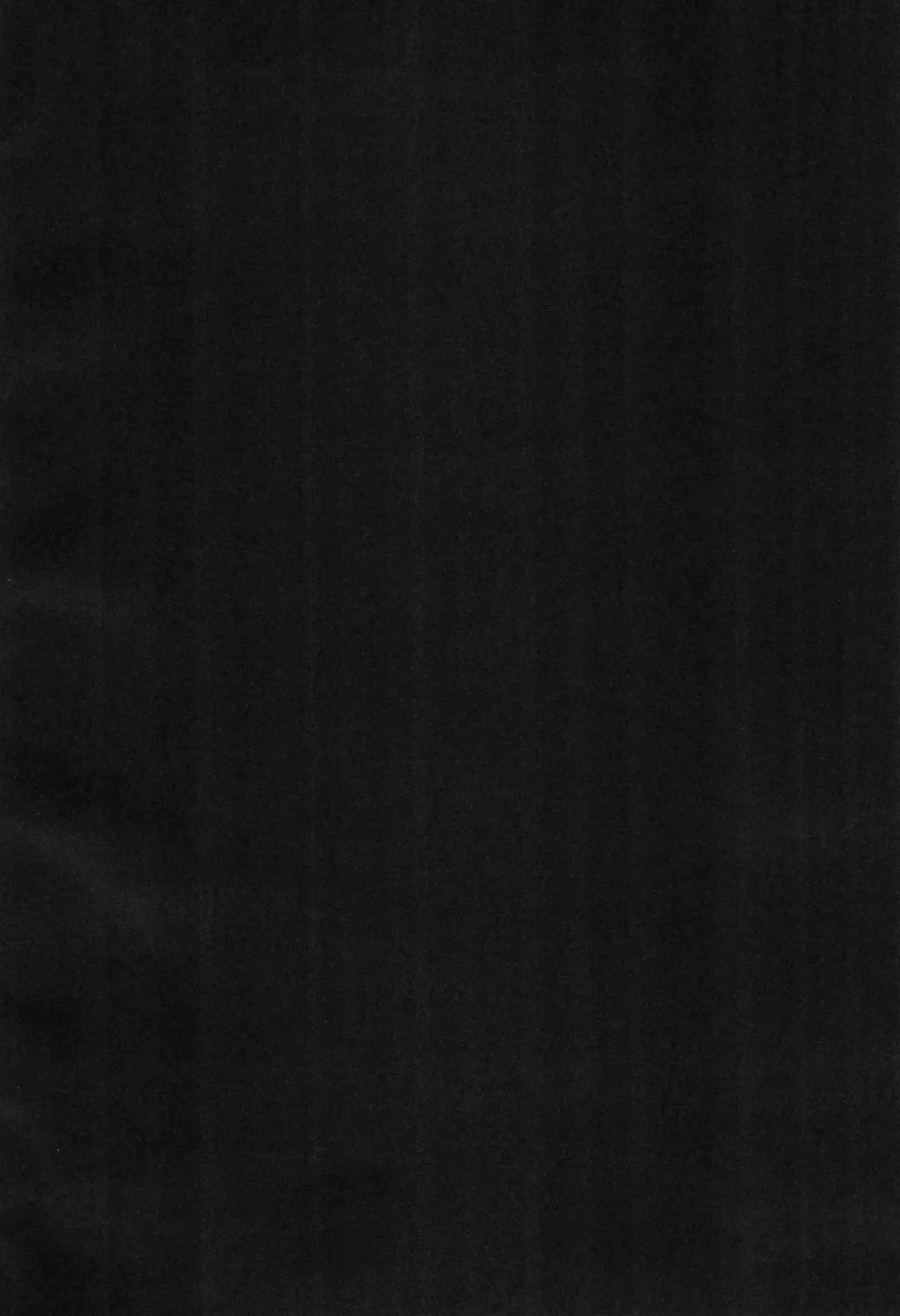 [Rao] Okocho no Gohan Fhentai - Page 4