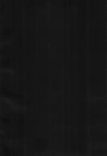 [Rao] Okocho no Gohan Fhentai - Page 4