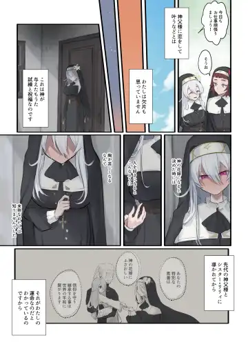 [Nikumochu] Daisuki na Shinpu-sama to no 🔞🔞🔞 na Mousou o Shichau Sister Fhentai - Page 17