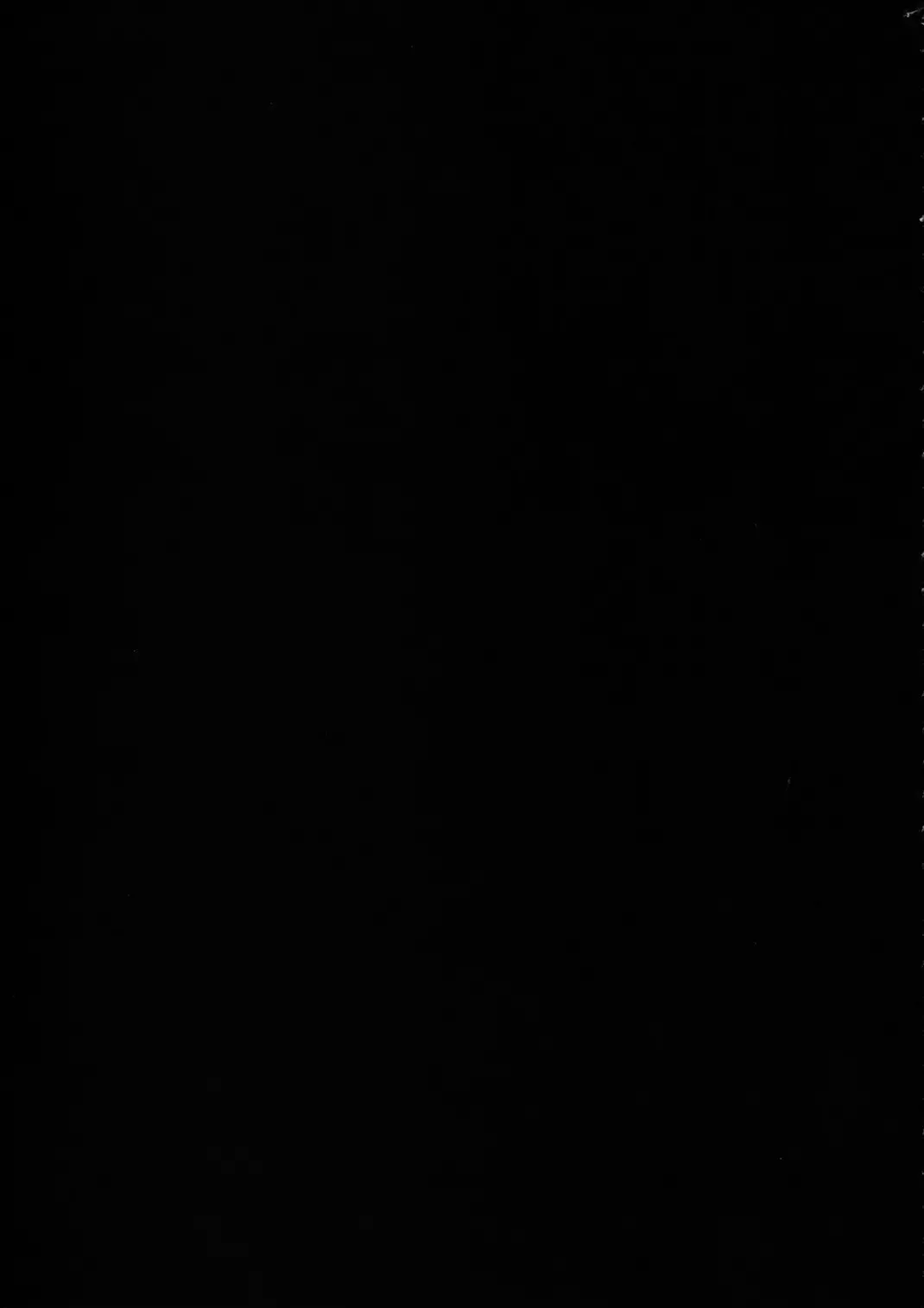 [Yamada Shuutarou] RETSU -THE SWORD OF FLAME- Fhentai - Page 19