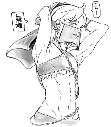 ] Zeru-den matome[The Legend of Zelda) Fhentai - Page 2