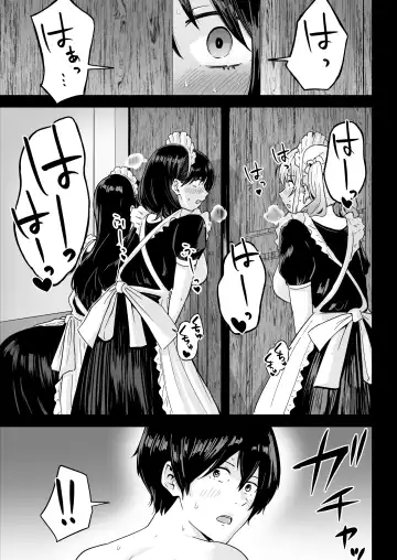 S Rank Idenshi Nintei sareta node, Yuushuu na Kodomo o Tsukurutame Maid ni Nakadashi shite Ninshin sareru Hanashi. Fhentai.net - Page 36