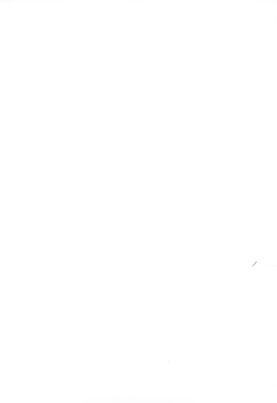 [Ryumage] Ruri Plus+ Fhentai - Page 17