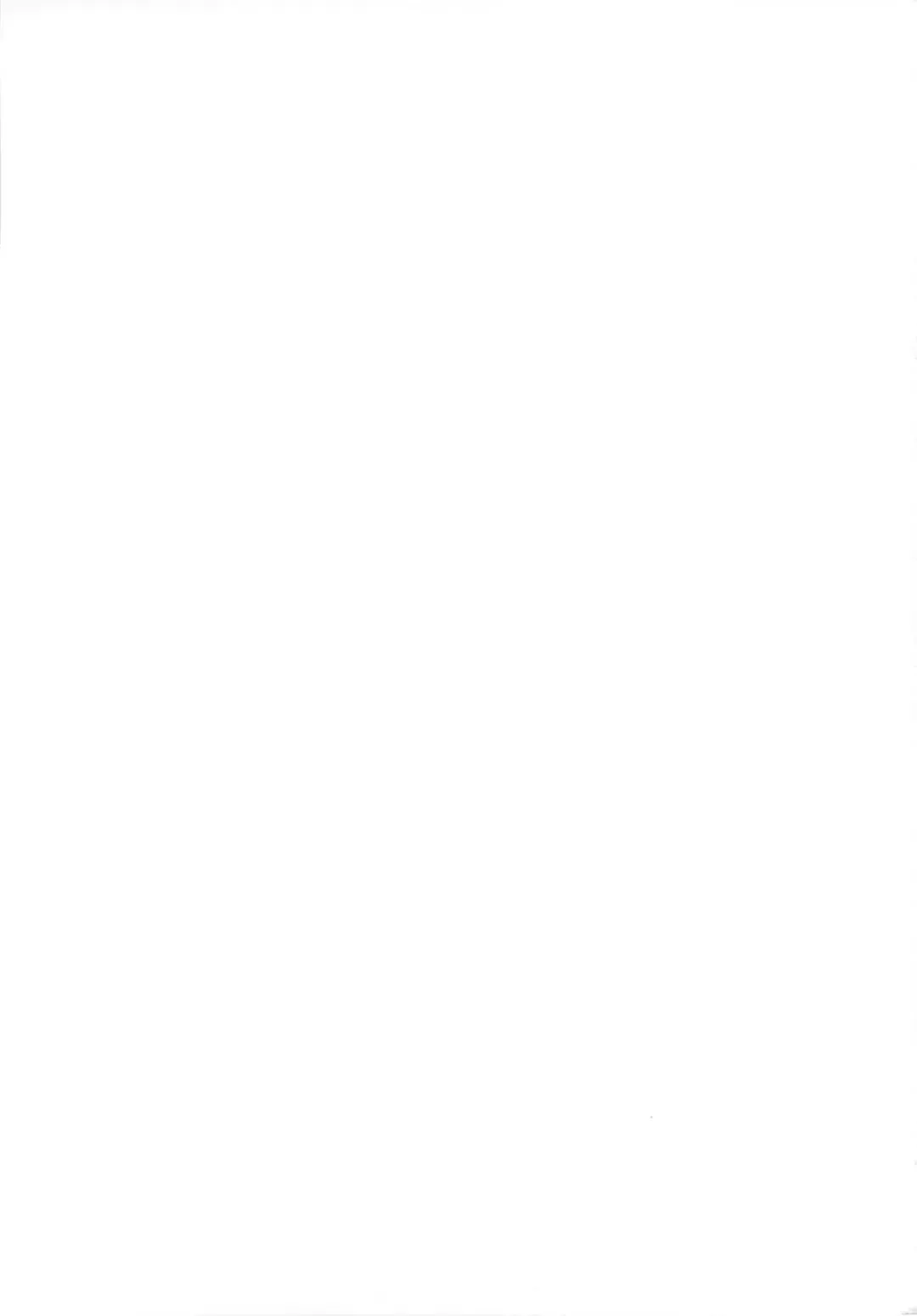 [Katochin] Miko Ijiri 2 Fhentai - Page 35