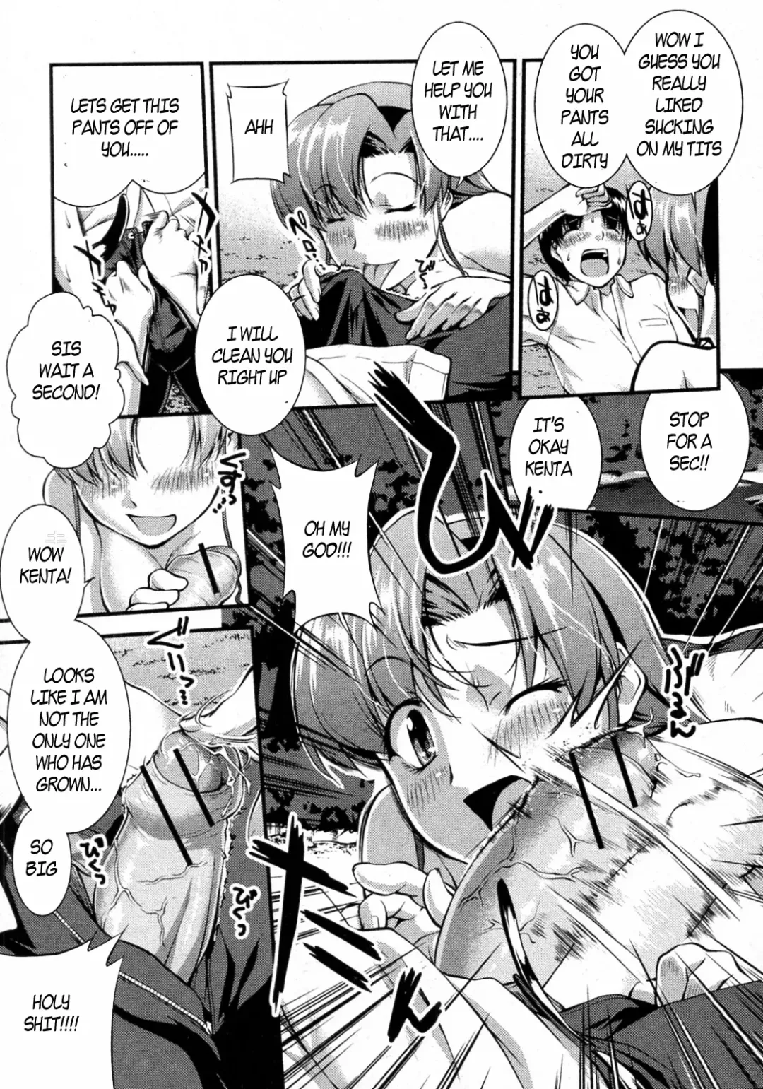 [John Sitch-oh] Sister's Change Fhentai - Page 13