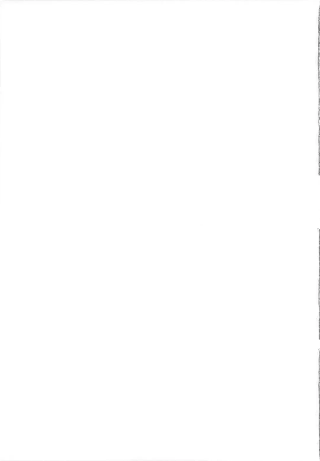 [Ryo] Little Little Princess Fhentai - Page 25