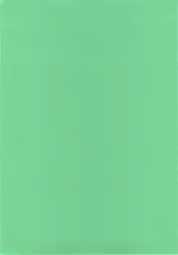 [Ryo] Little Little Princess Fhentai - Page 3