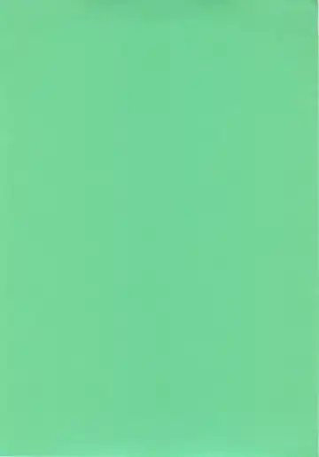 [Ryo] Little Little Princess Fhentai - Page 4