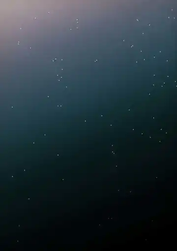 [Bov] Mob x Camus Fhentai - Page 52