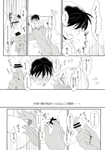 [Ichikani] Conan-kun ga Amuro-san wo YoshiyoShikoshiko Suru Hon Fhentai - Page 22