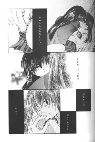 [Seriou Sakura] Bliss of Clover Fhentai - Page 27