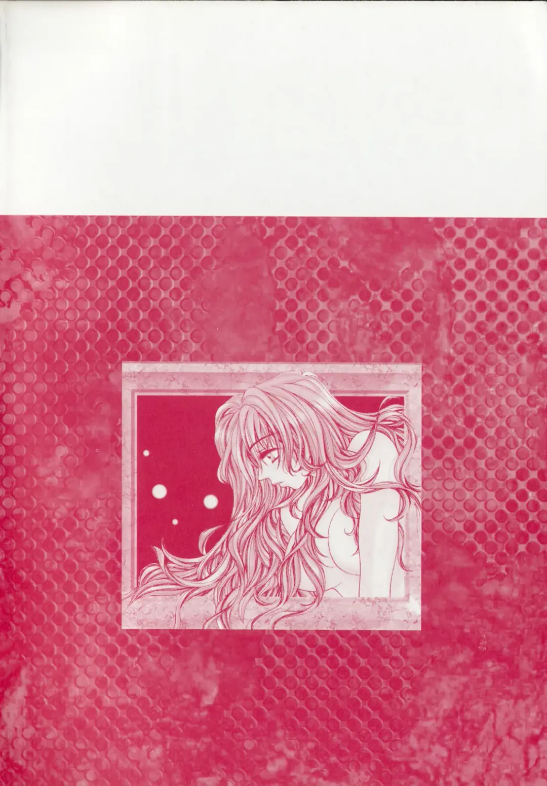 [Sakuya Shion] Kichiku dorei Fhentai - Page 4