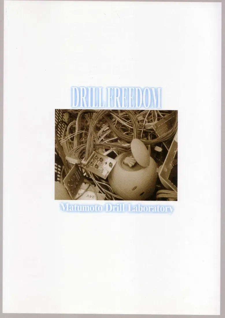 DRILL FREEDOM Fhentai - Page 26