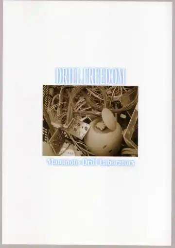 DRILL FREEDOM Fhentai - Page 26