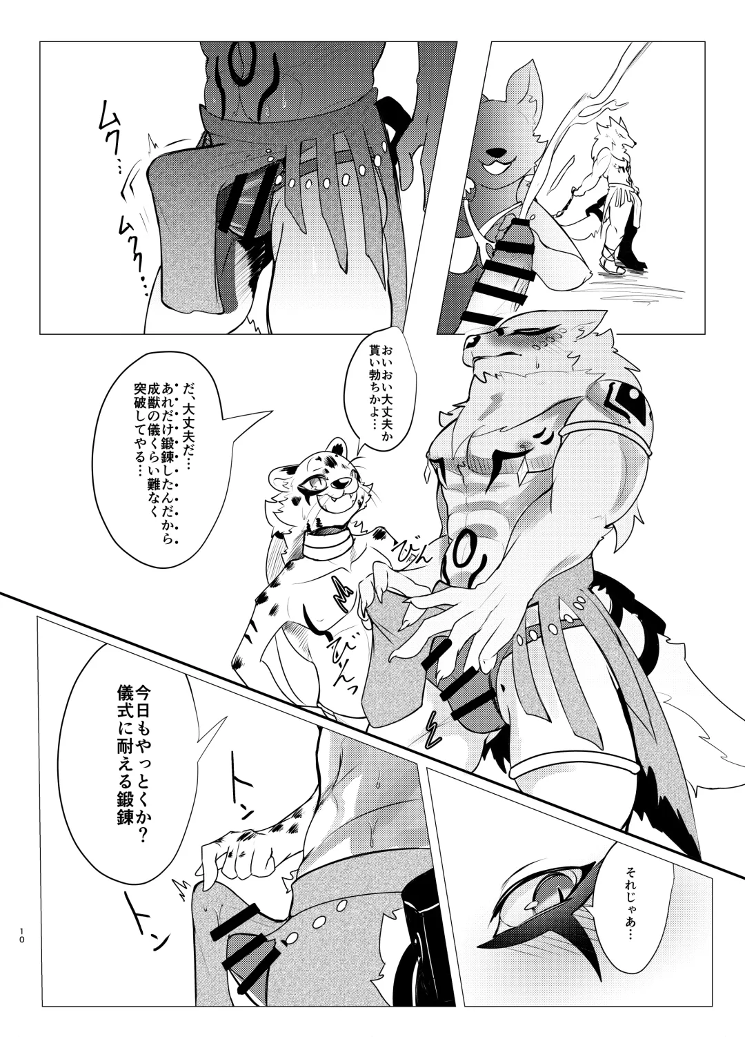 [Felta] Seijū No Gi Fhentai - Page 10